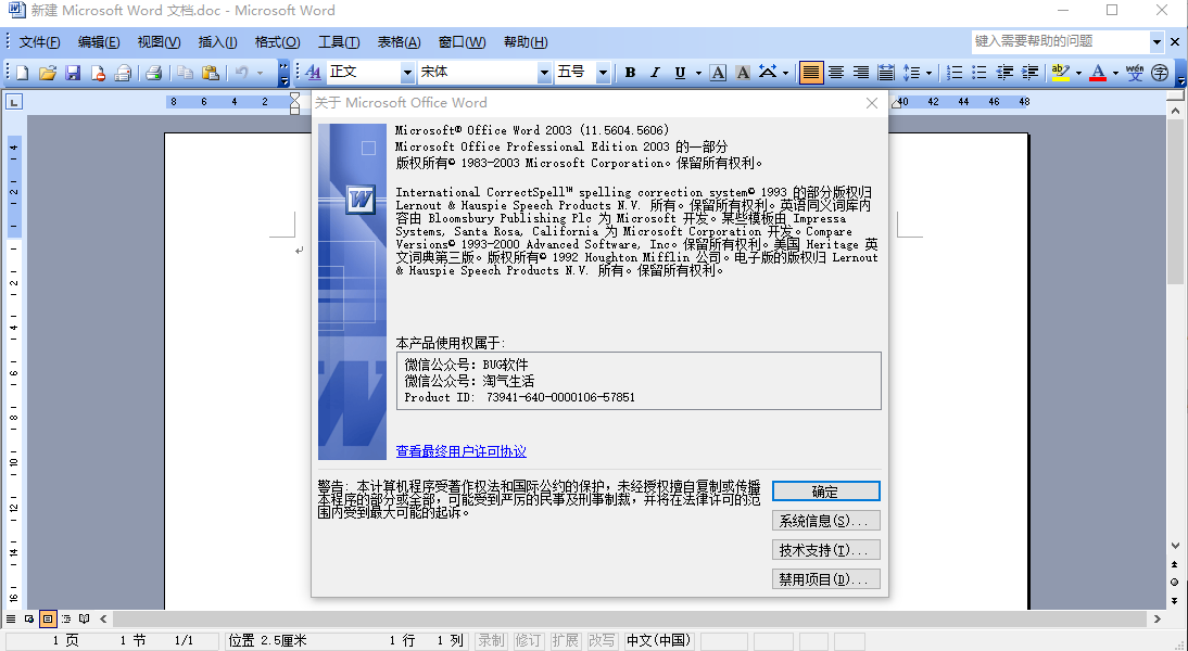 图片[1] • Microsoft Office 2003官方下载 免费完整版【Office2003-】办公软件 • BUG软件